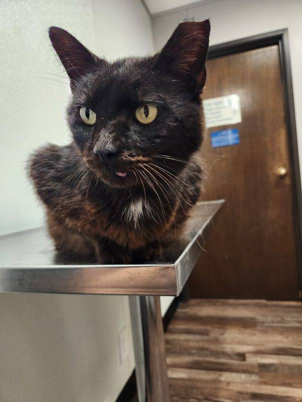 Eagle Mountain Veterinary Clinic